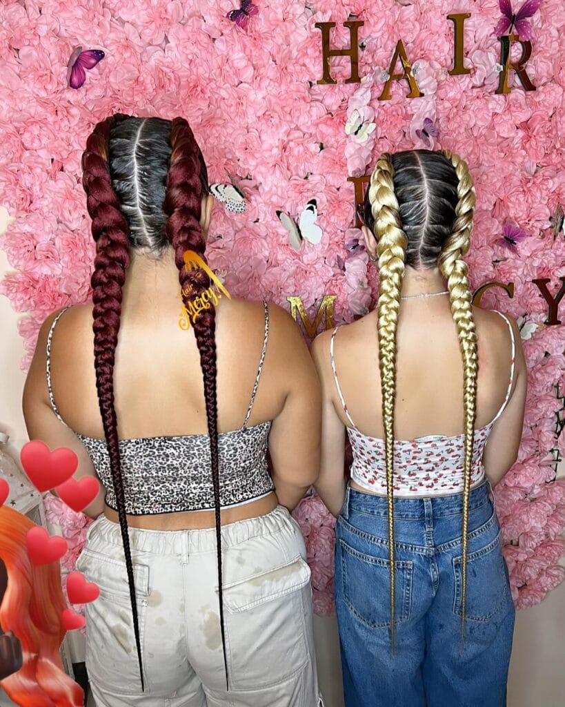 3. Twin Color Two Long Braids