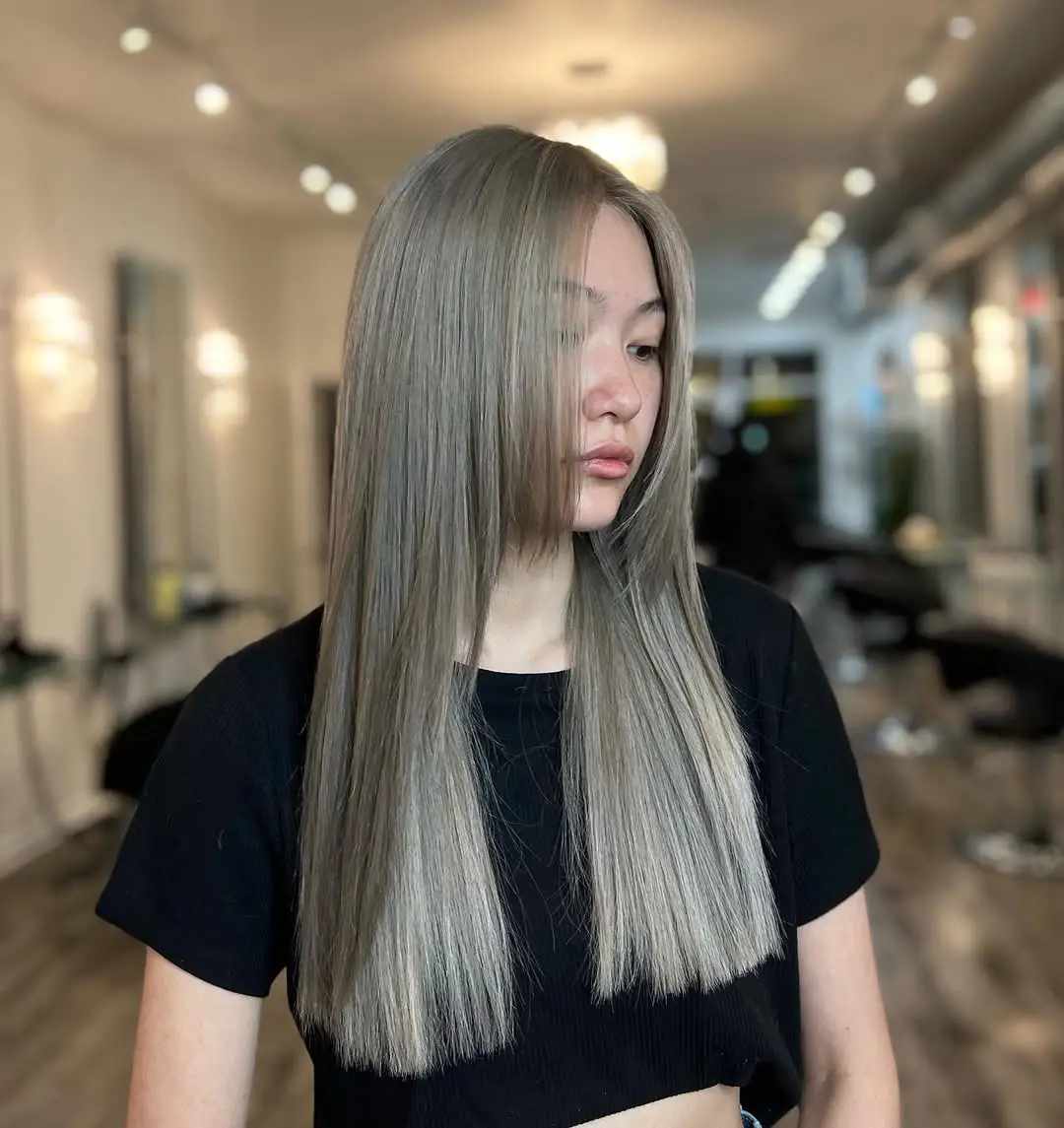 24 Striking Brown Hair with Silver Highlights Ideas: Sophisticated Looks to Refresh Your Style 22 #21. Silky Graphite Straight Hair with Subtle Brown Undertones